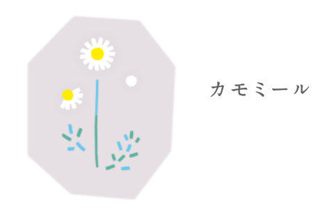 カモミール